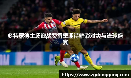 zoty中欧官方网站