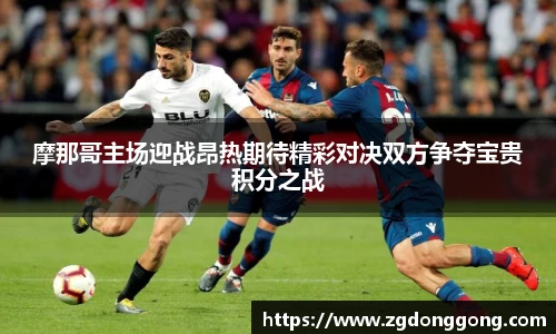 zoty中欧官方网站