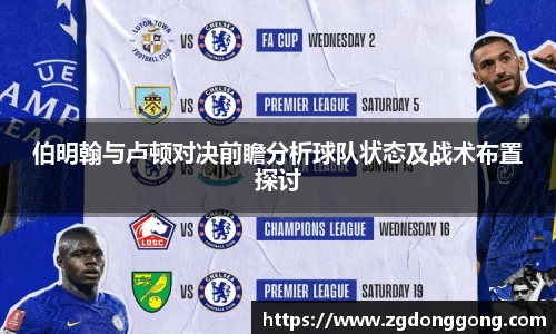 zoty中欧官方app下载