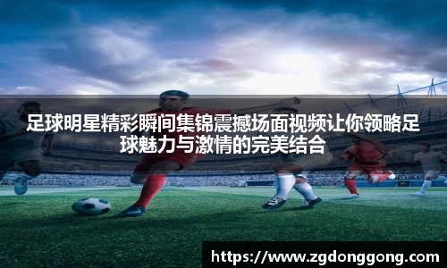 zoty中欧官方网站