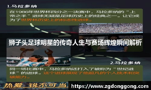 狮子头足球明星的传奇人生与赛场辉煌瞬间解析
